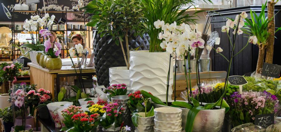 Kleinmarkthalle Frankfurt HFM