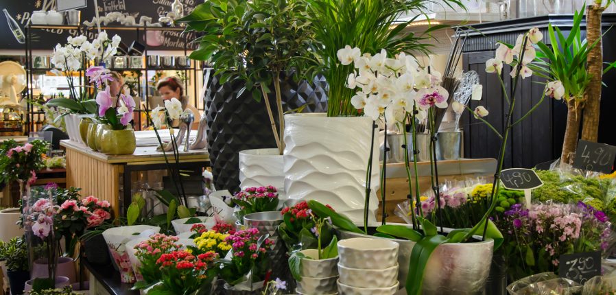 Blumenmeister Kleinmarkthalle_01 Kleinmarkthalle Frankfurt HFM