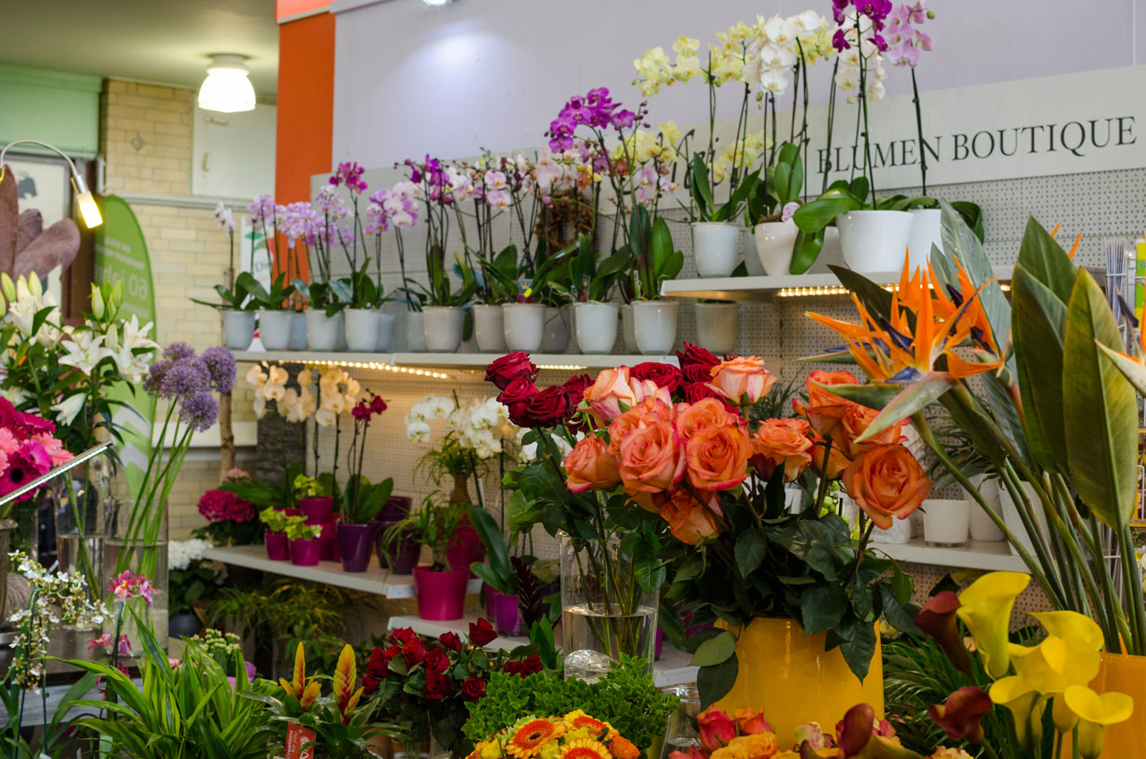 Blumenmeister Kleinmarkthalle_02