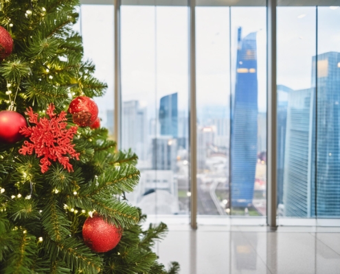 Weihnachtsbaum Verleih, Nachhaltiger Weihnachtsbaumverleih Frankfurt.
